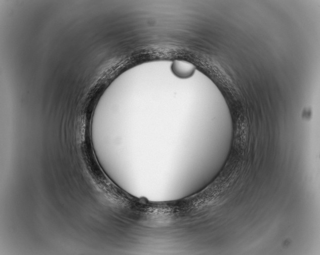 X0000098170694200805081001