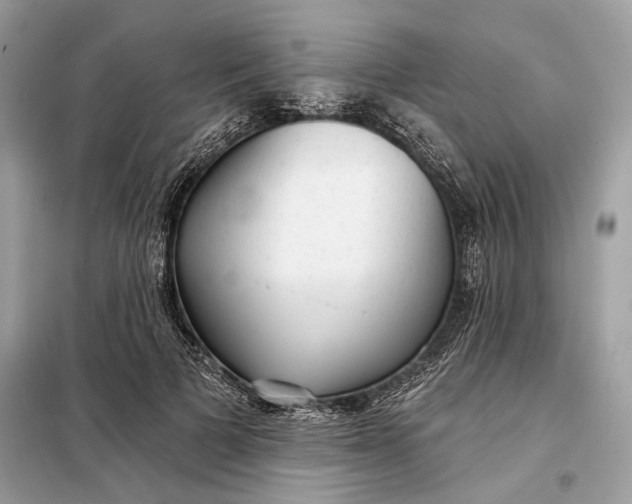 X0000098170697200805081001