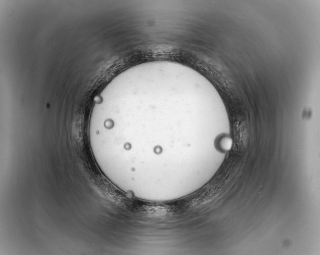 X0000098170698200805081001