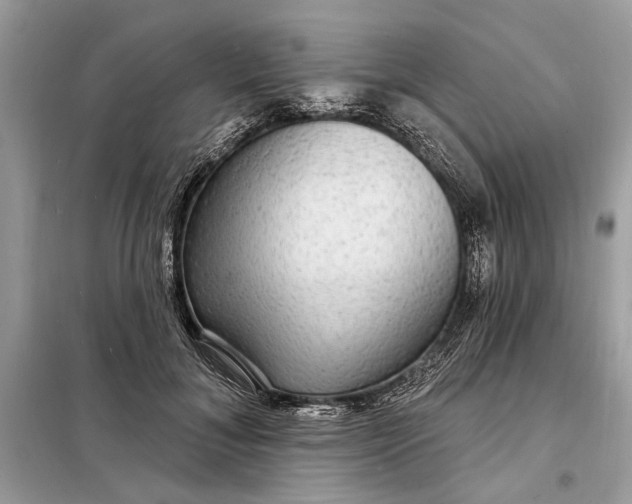 X0000098170700200805081001