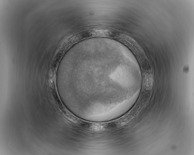 X0000098170701200805081001