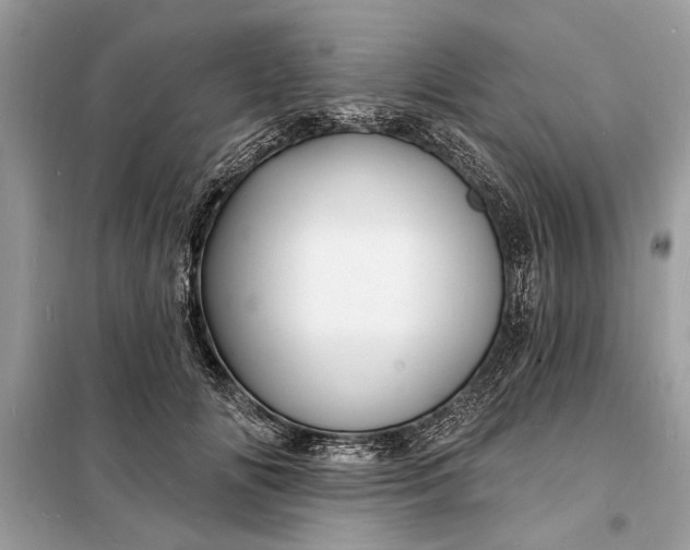 X0000098170702200805081001