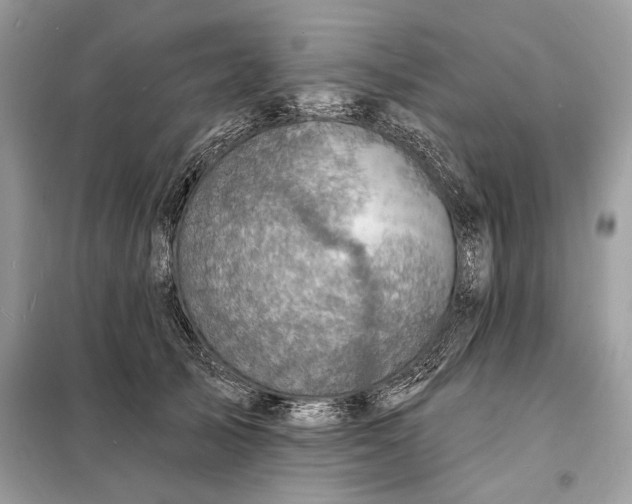 X0000098170705200805081001