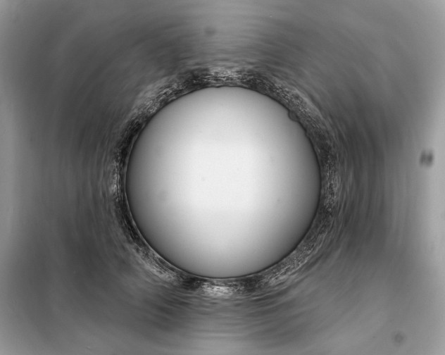 X0000098170706200805081001