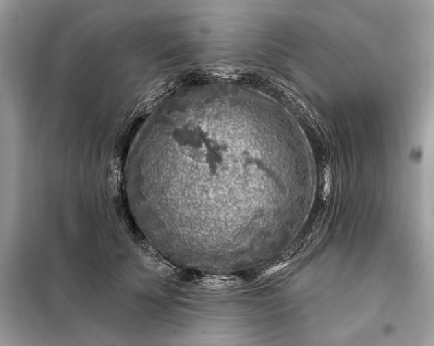 X0000098170707200805081001