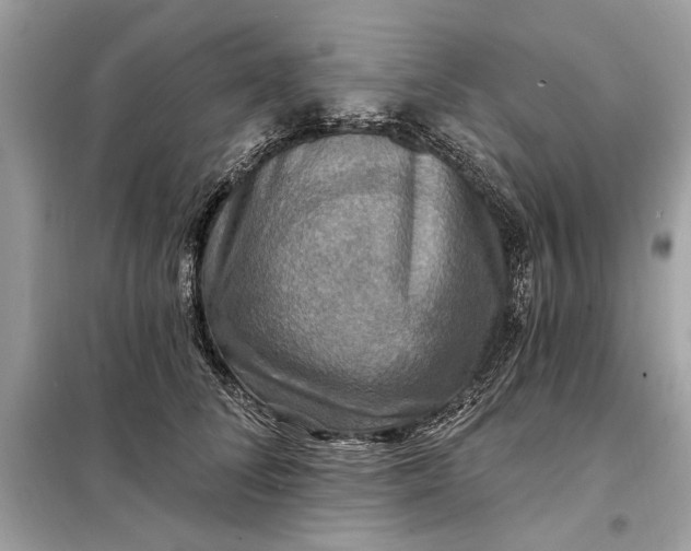 X0000098170708200805081001