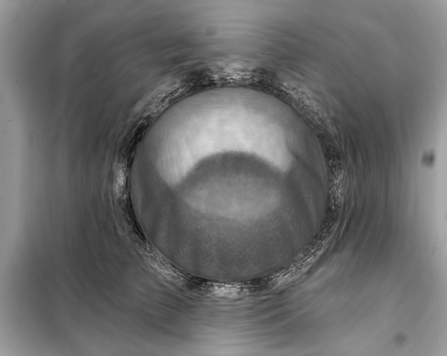 X0000098170709200805081001