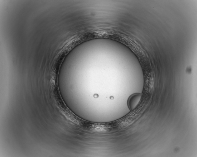 X0000098170710200805081001