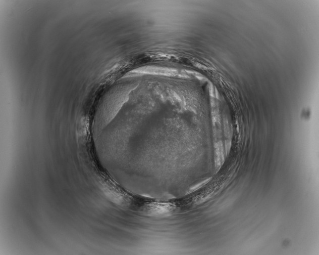 X0000098170711200805081001