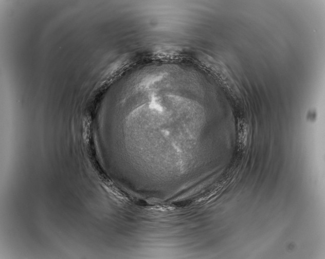 X0000098170712200805081001