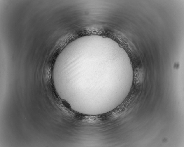 X0000098170713200805081001