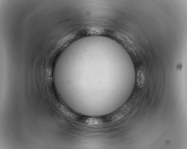 X0000098170714200805081001