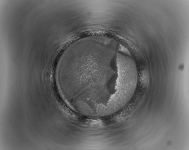 X0000098170715200805081001