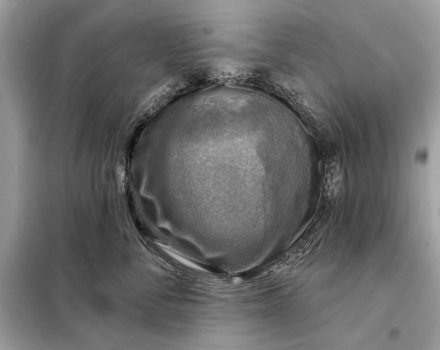 X0000098170716200805081001