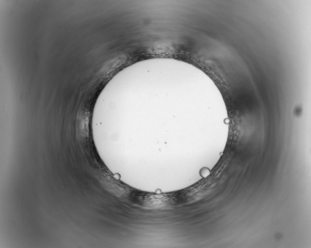 X0000098170717200805081001