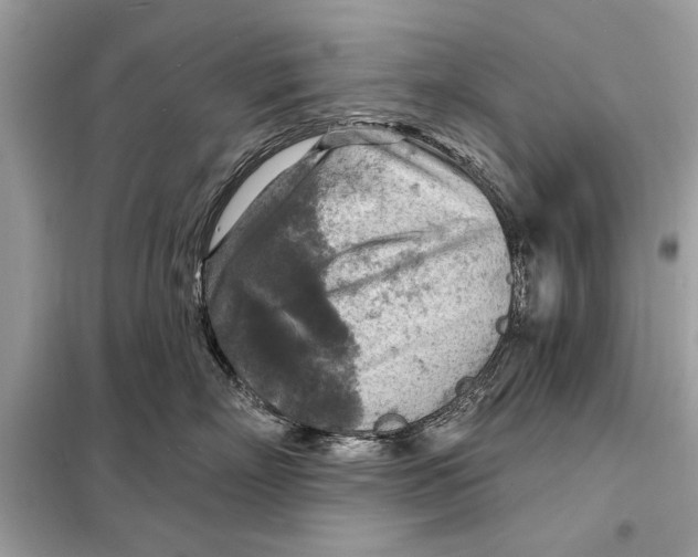 X0000098170718200805081001