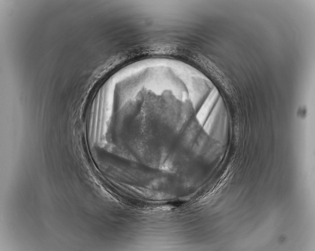 X0000098170721200805081000