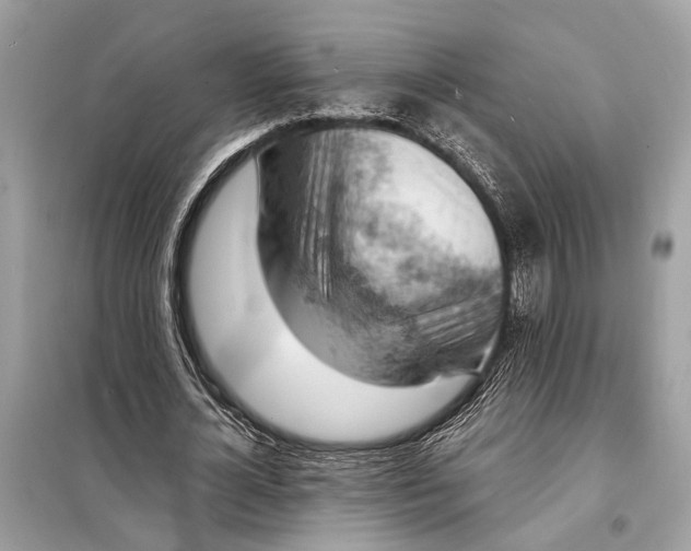 X0000098170724200805081000