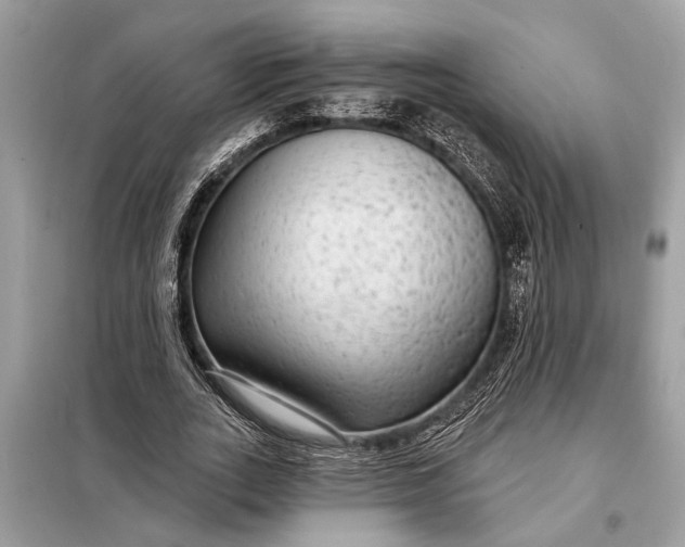 X0000098170727200805081000