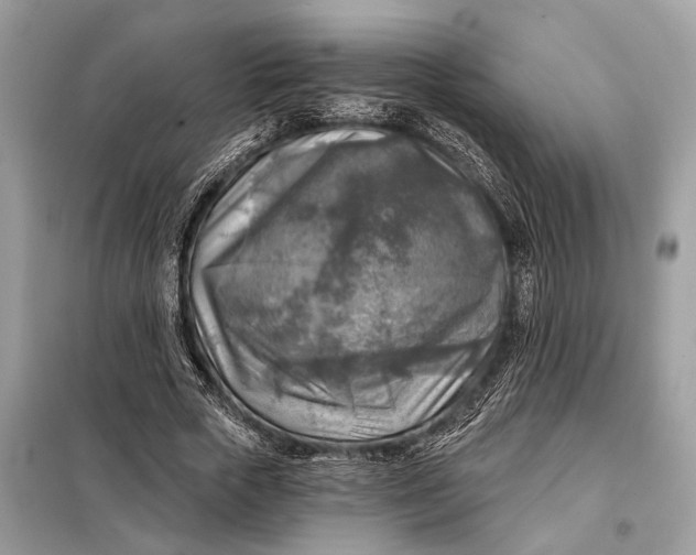 X0000098170729200805081000