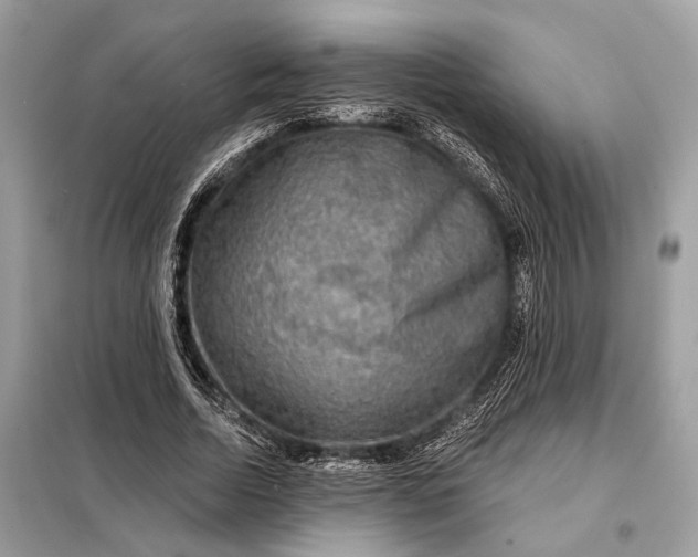 X0000098170730200805081000