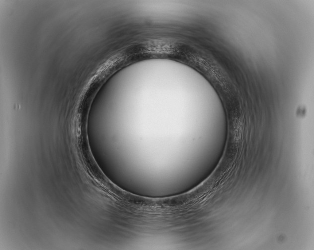 X0000098170731200805081000