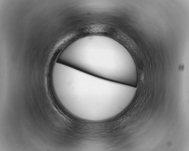 X0000098170732200805081000