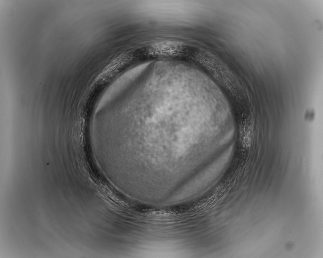 X0000098170735200805081000