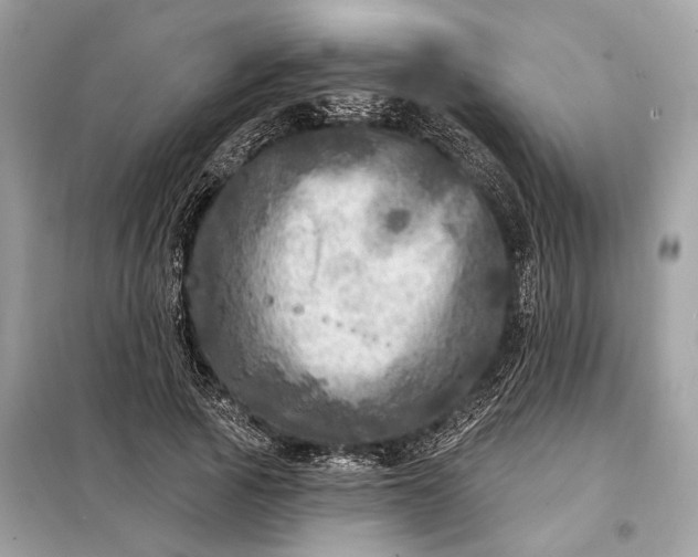 X0000098170737200805081000