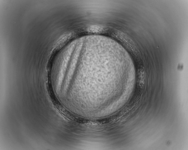 X0000098170738200805081000