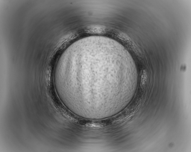 X0000098170739200805081000