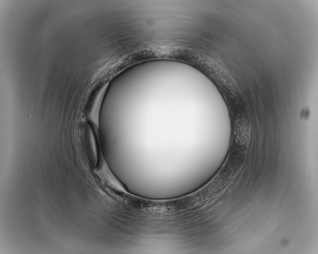 X0000098170740200805081001