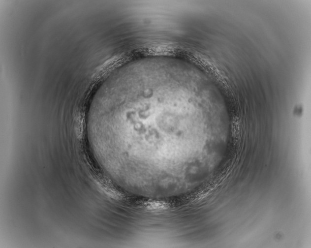 X0000098170741200805081001