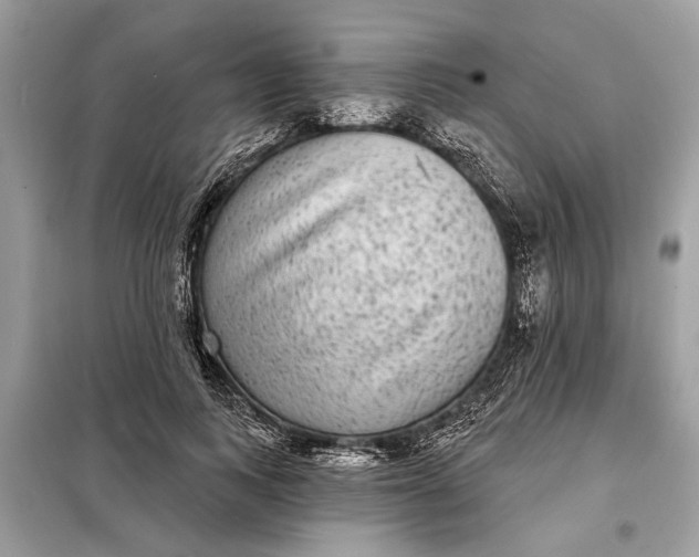 X0000098170743200805081001