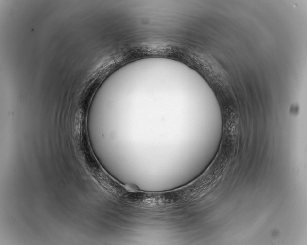 X0000098170744200805081001