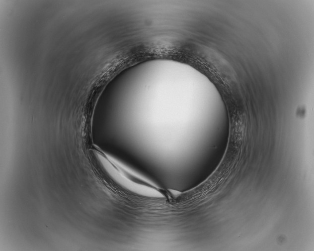 X0000098170750200805081001