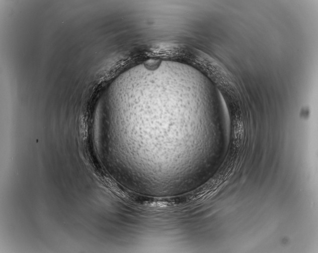 X0000098170751200805081001