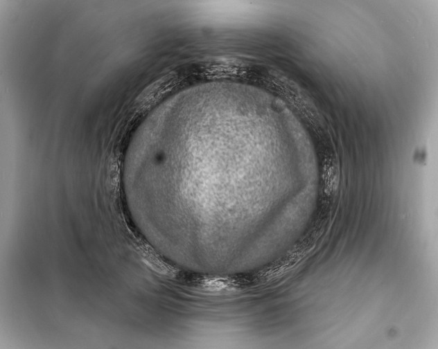 X0000098170753200805081001