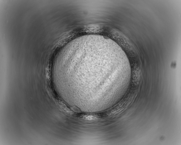 X0000098170755200805081001