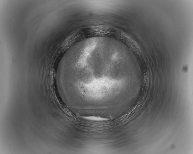 X0000098170757200805081001