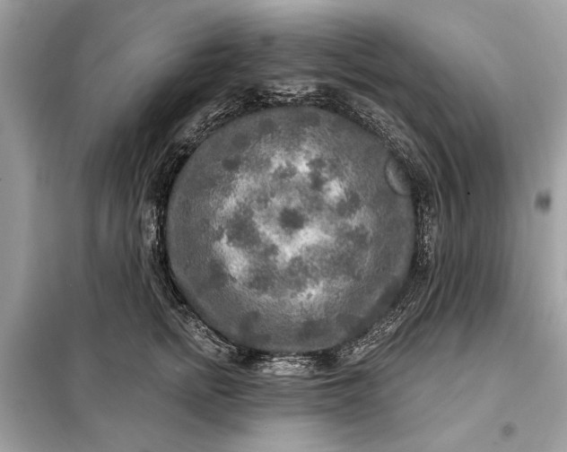 X0000098170758200805081001