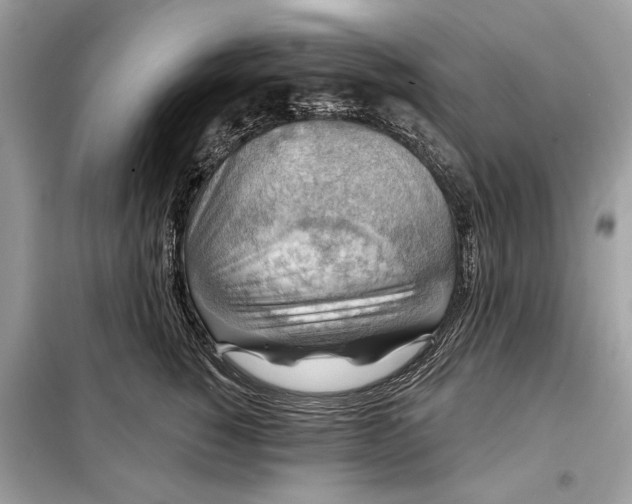 X0000098170760200805081001