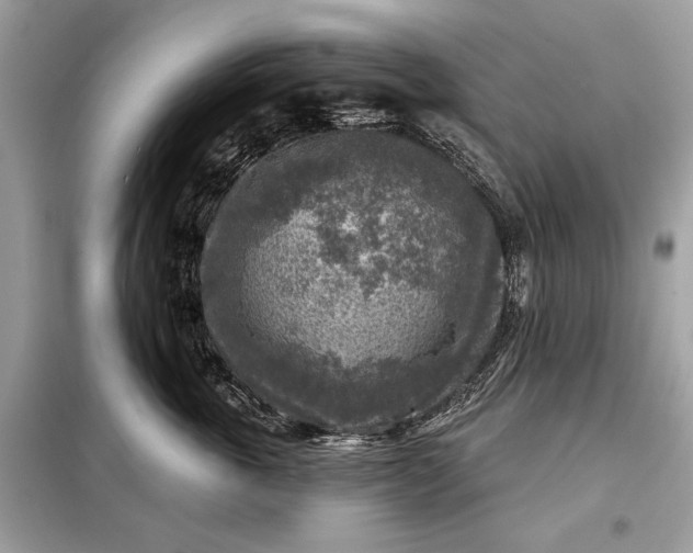 X0000098170763200805081001