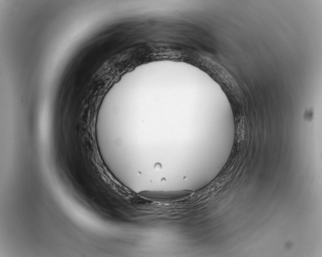 X0000098170764200805081001