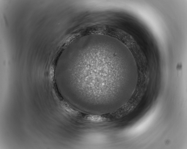 X0000098170767200805081001