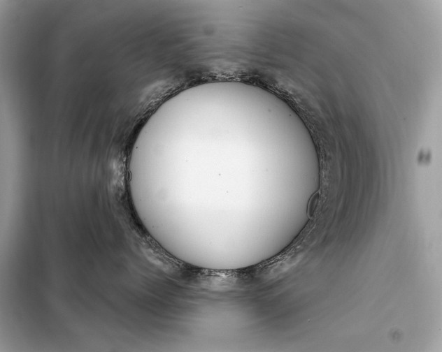 X0000098170768200805081001