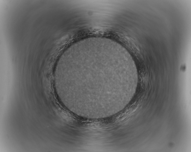 X0000098170769200805081000