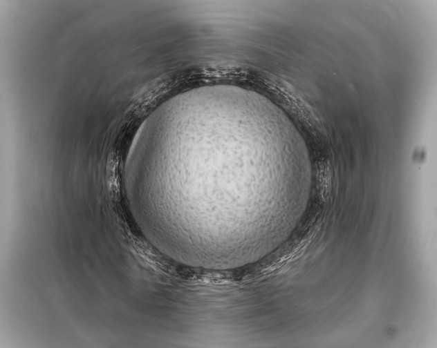 X0000098170770200805081000