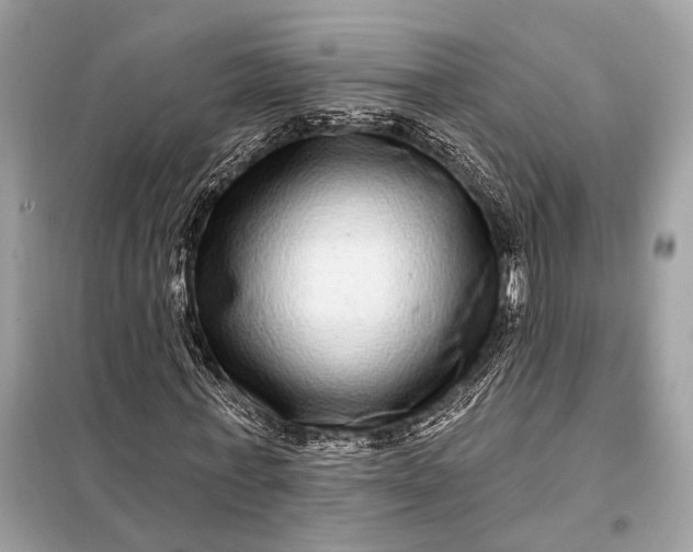 X0000098170771200805081000