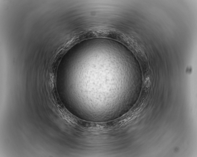 X0000098170772200805081000